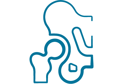 ortho icon