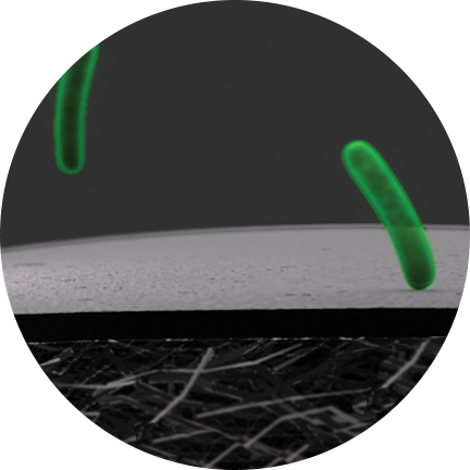Reduces biofilm bacteria icon